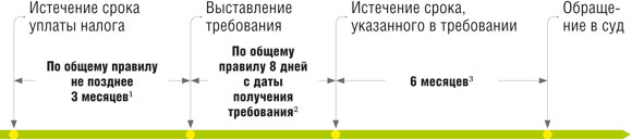 В какие сроки налоговики могут обратиться в суд