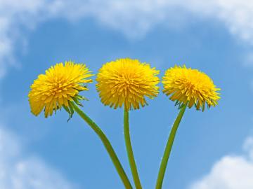 Чтобы у работодателя была реальная возможность изменить трудовые договоры с работниками, обязательно должны соблюдаться совокупно все три условия