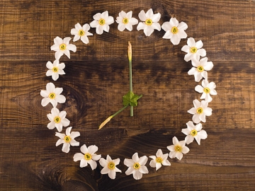 Не волнуйтесь, время на исправление РСВ-1, сданных с ошибками, ничем не ограничено. Главное — соблюсти порядок представления корректировочных данных