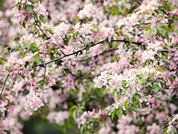 У заимодавцев для целей налогообложения выданный и возвращенный заем растает, «как с белых яблонь дым». Ведь ни в расходах, ни в доходах он не учитывается