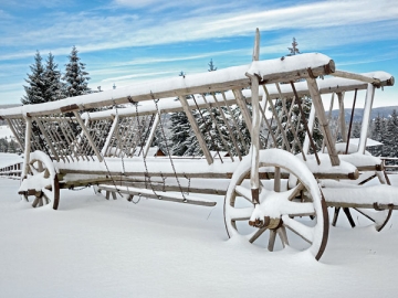 У малых предприятий, имеющих право на упрощенный бухучет, целый воз различных послаблений в этой сфере