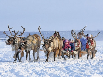 «Три дня на оленях, два дня на собаках»... Так вот, организациям и ИП, работающим в труднодоступной местности, по-прежнему можно не применять ККТ