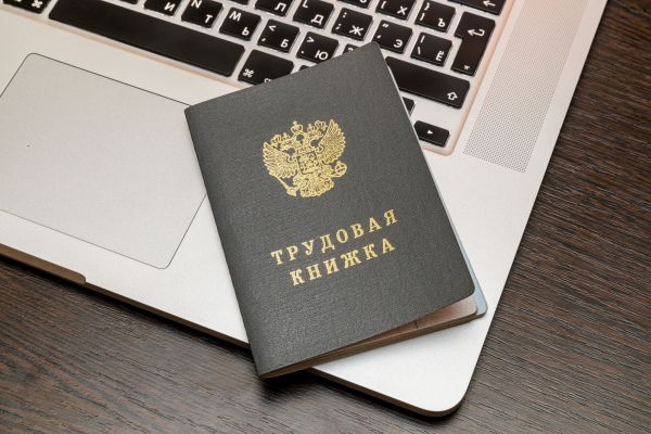 Новости: Реорганизация в форме выделения: что писать в трудовых книжках и трудовых договорах