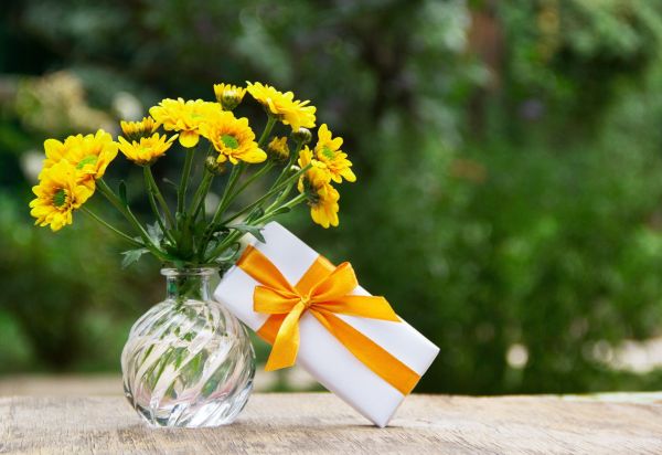 Новости: Врачам и учителям хотят разрешить дарить более дорогие подарки