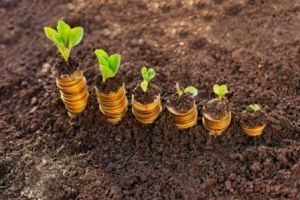 Новости: МРОТ поднимут до прожиточного минимума досрочно